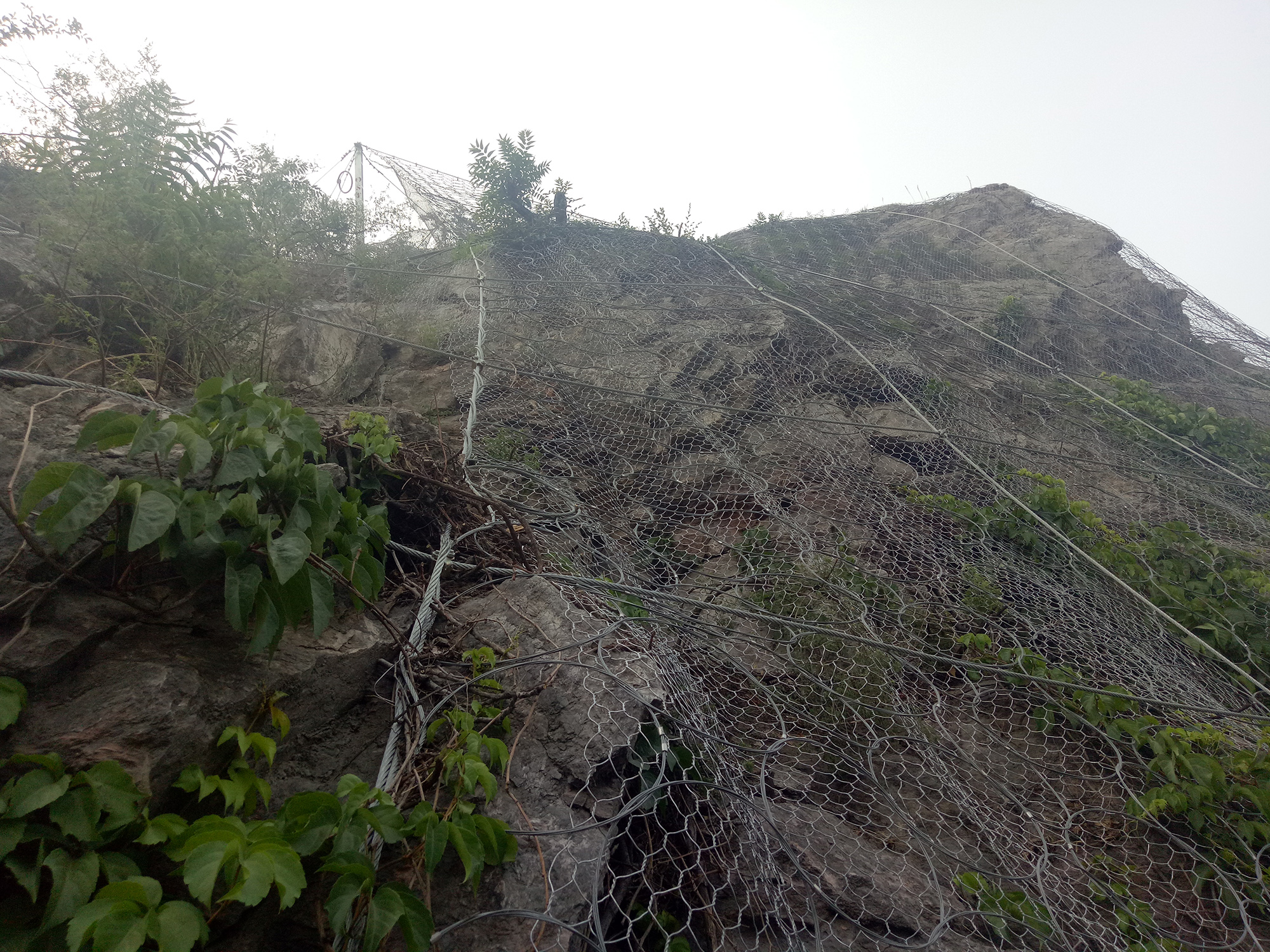 ���wʽ�����W